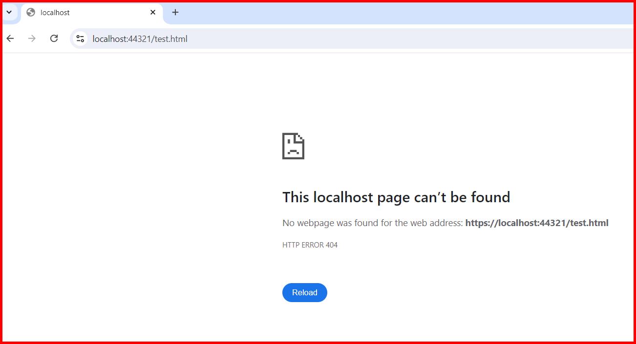 Picture showing browsing the HTML page when static file middle ware is disabled